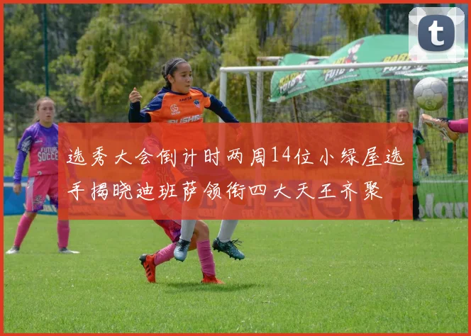 选秀大会倒计时两周14位小绿屋选手揭晓迪班萨领衔四大天王齐聚