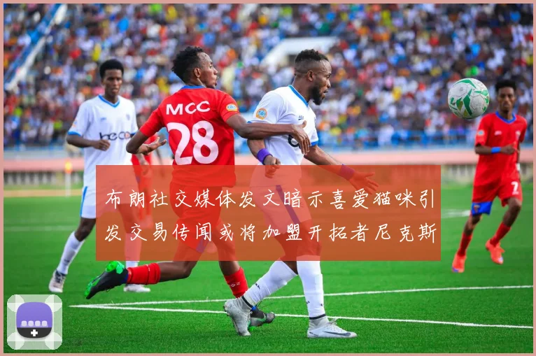 布朗社交媒体发文暗示喜爱猫咪引发交易传闻或将加盟开拓者尼克斯雷霆湖人